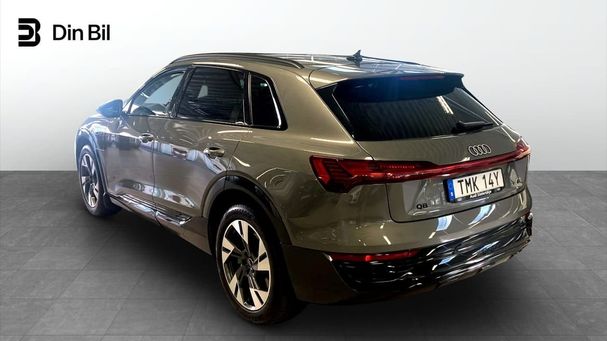 Audi Q8 50 quattro e-tron 253 kW image number 6