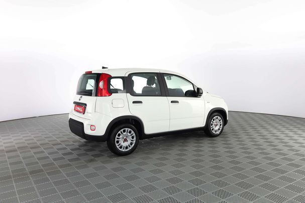 Fiat Panda 1.0 Hybrid 51 kW image number 5