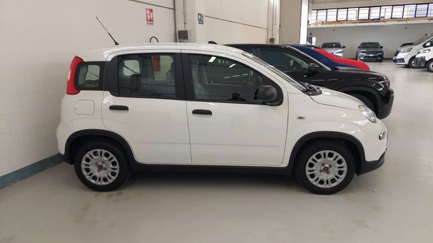 Fiat Panda 1.0 Hybrid 51 kW image number 5