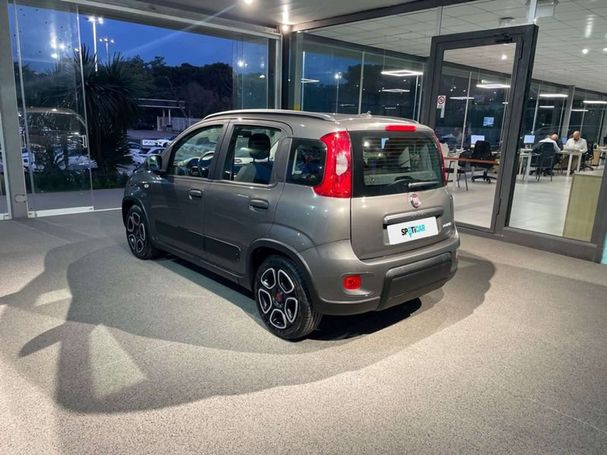 Fiat Panda 1.0 Hybrid City Life 51 kW image number 4