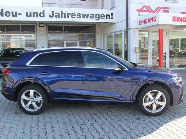 Audi e-tron S-line 230 kW image number 10