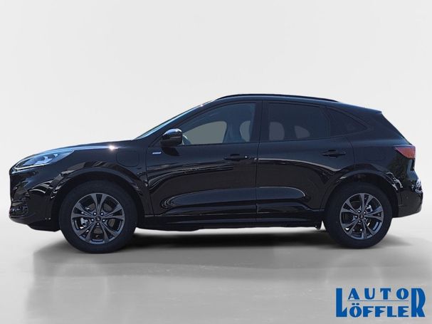 Ford Kuga 2.5 ST-Line X 132 kW image number 5