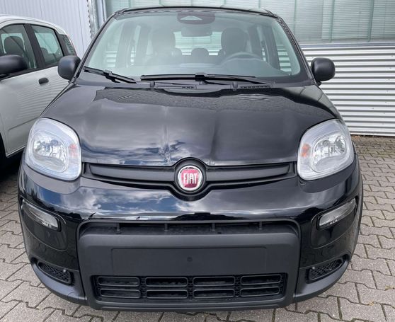 Fiat Panda 51 kW image number 3