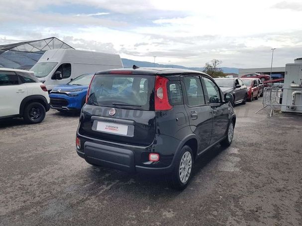 Fiat Panda 51 kW image number 4