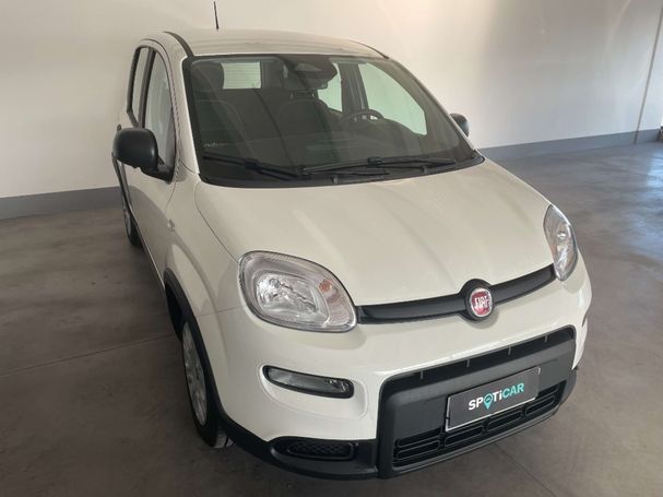 Fiat Panda 51 kW image number 2