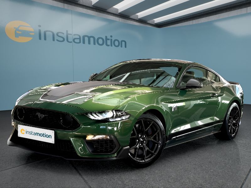 Ford Mustang Mach 1 338