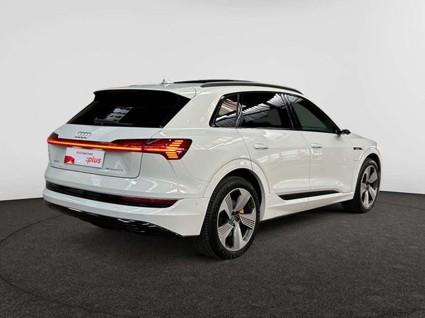 Audi e-tron 55 quattro Advanced 300 kW image number 19