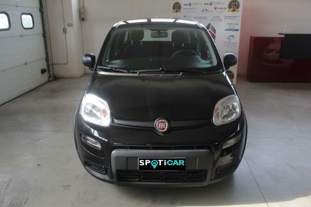 Fiat Panda 1.0 Hybrid 51 kW image number 2