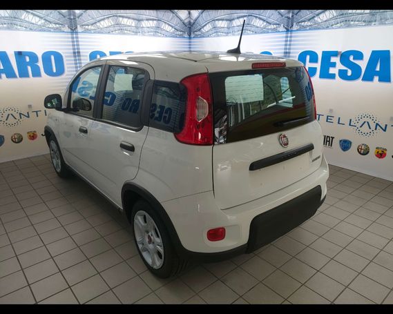 Fiat Panda 1.0 Hybrid 51 kW image number 4