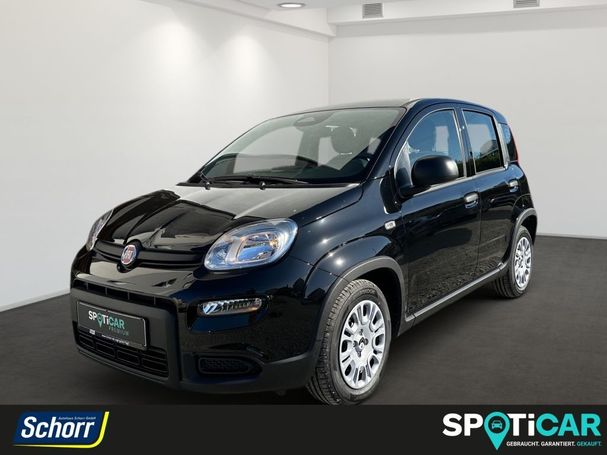 Fiat Panda 51 kW image number 1