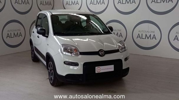 Fiat Panda 1.0 Hybrid City 51 kW image number 2