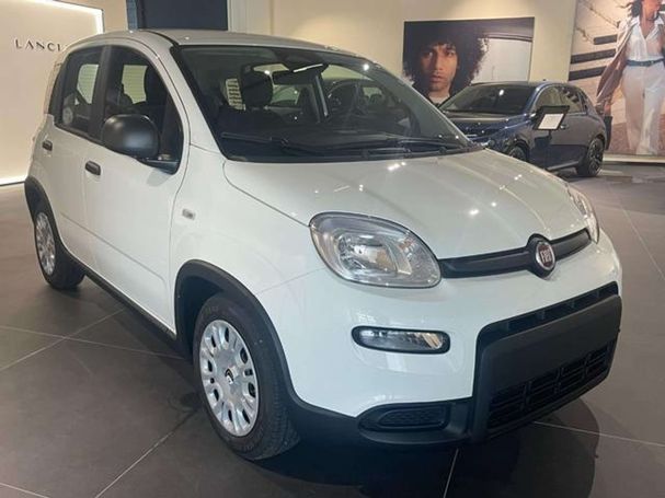 Fiat Panda 51 kW image number 2