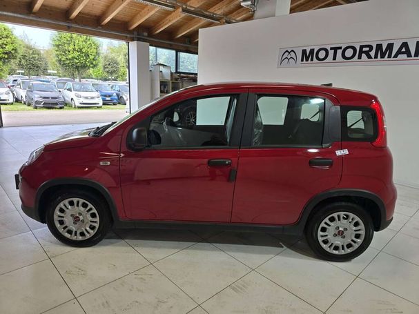 Fiat Panda 1.0 Hybrid 51 kW image number 15