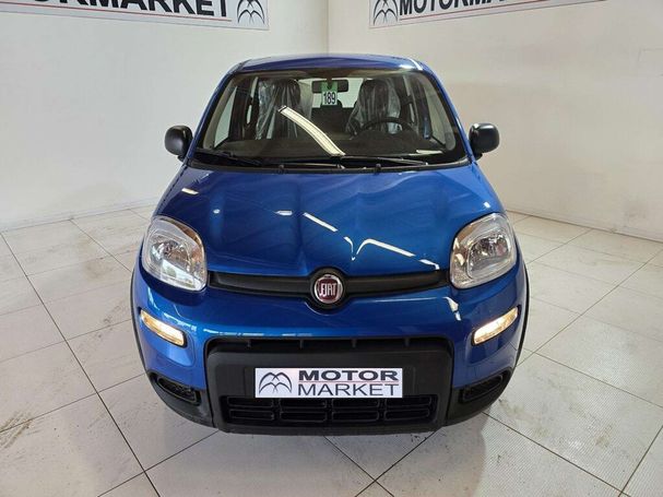 Fiat Panda 1.0 Hybrid 51 kW image number 3