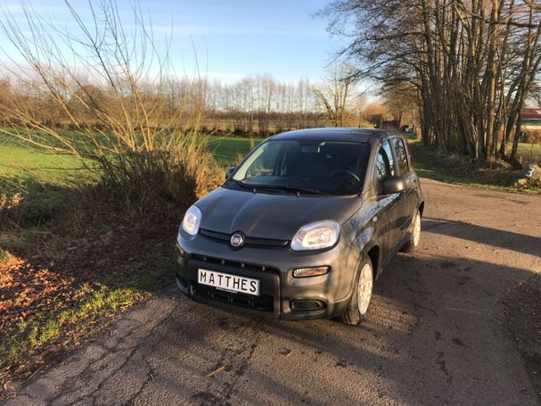 Fiat Panda 1.0 Hybrid 51 kW image number 2