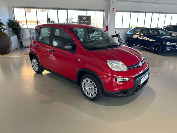 Fiat Panda 51 kW image number 2