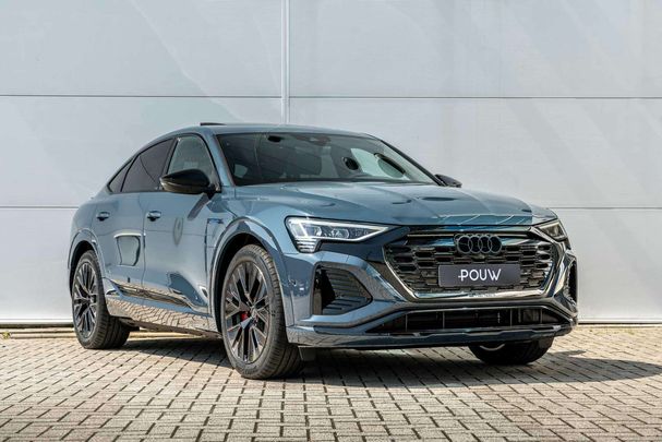 Audi Q8 50 quattro e-tron Sportback 95 kWh 250 kW image number 9