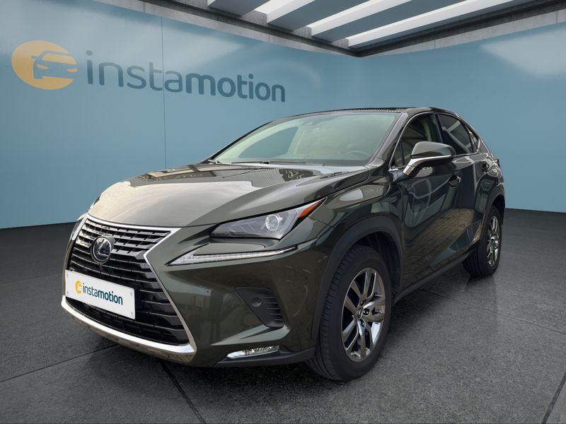 Lexus NX 300 Hybrid 4x4