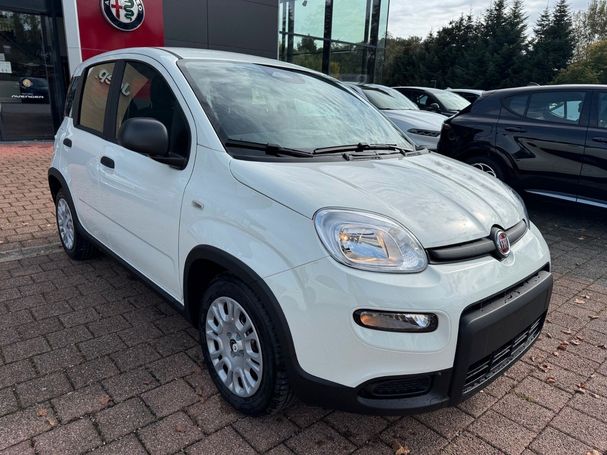 Fiat Panda 51 kW image number 2