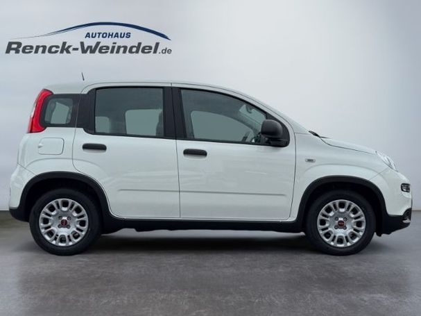 Fiat Panda 1.0 GSE 51 kW image number 6