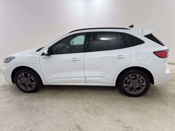 Ford Kuga 2.5 ST-Line CVT 165 kW image number 4