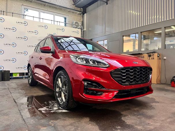 Ford Kuga 2.5 ST-Line X 165 kW image number 1