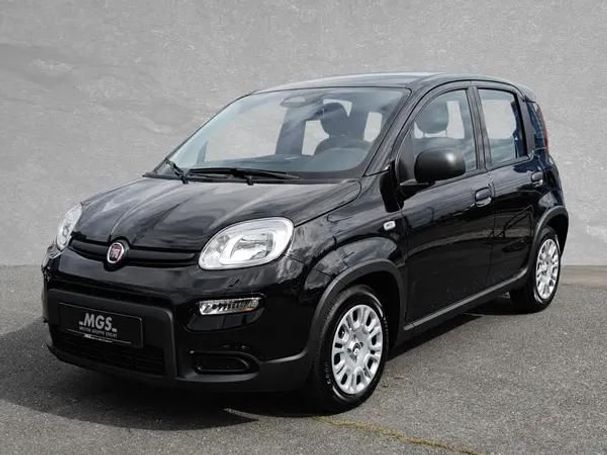 Fiat Panda 51 kW image number 1