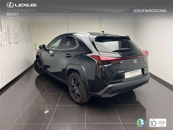 Lexus UX 250h 135 kW image number 4