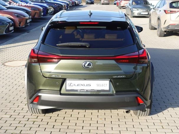 Lexus UX 250h 135 kW image number 6