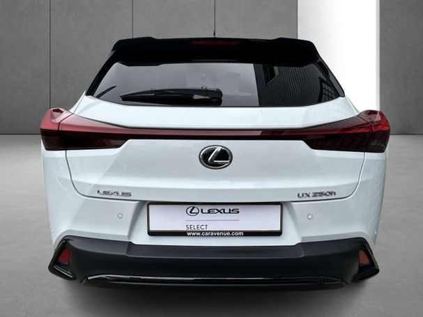 Lexus UX 250h 135 kW image number 8