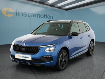 Car image 30