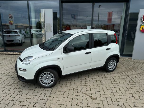 Fiat Panda 51 kW image number 2