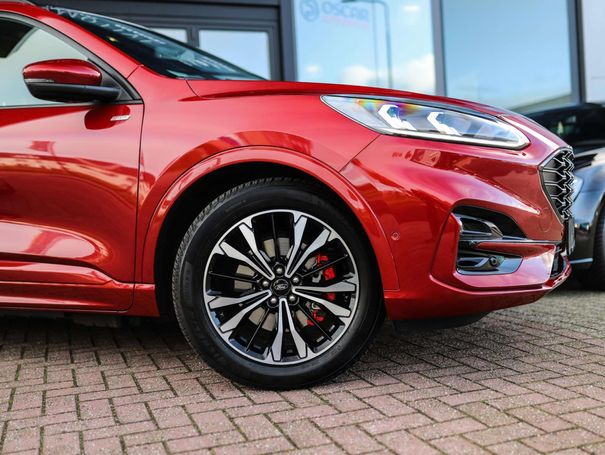 Ford Kuga 2.5 ST-Line X 165 kW image number 9