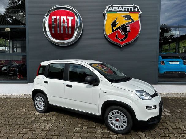 Fiat Panda Hybrid 51 kW image number 1