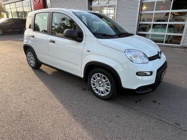 Fiat Panda 51 kW image number 3