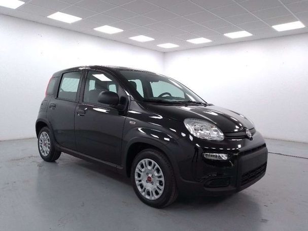 Fiat Panda 1.2 51 kW image number 3