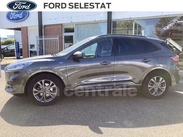 Ford Kuga 2.0 EcoBlue X 110 kW image number 15