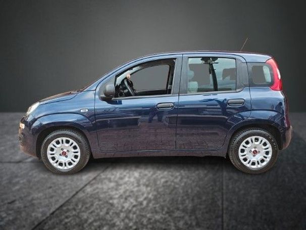 Fiat Panda 1.0 Hybrid 52 kW image number 5