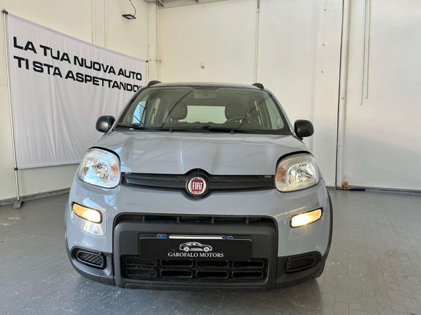 Fiat Panda 1.0 Hybrid City Life 51 kW image number 2