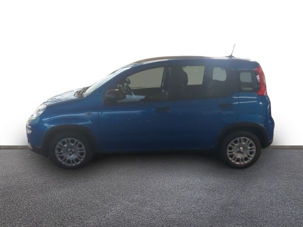 Fiat Panda 51 kW image number 5