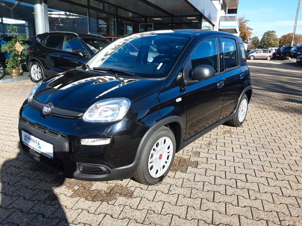 Fiat Panda 51 kW image number 1