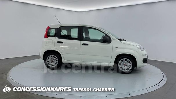 Fiat Panda 1.0 Hybrid City Life 51 kW image number 4