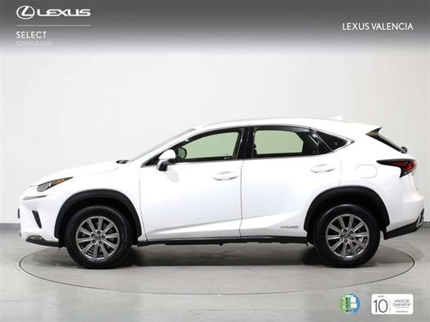 Lexus NX 300 H 145 kW image number 4