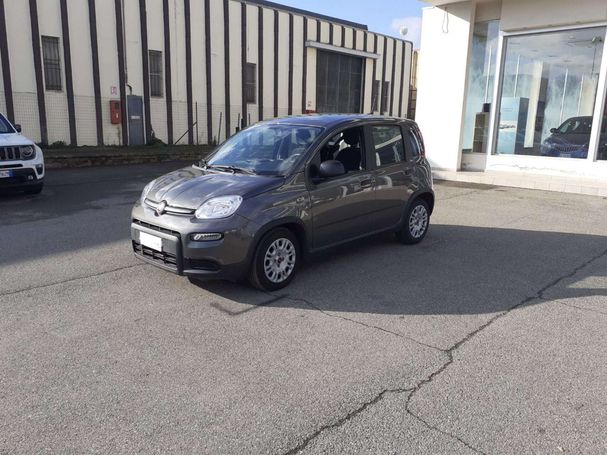 Fiat Panda 1.0 Hybrid 51 kW image number 1