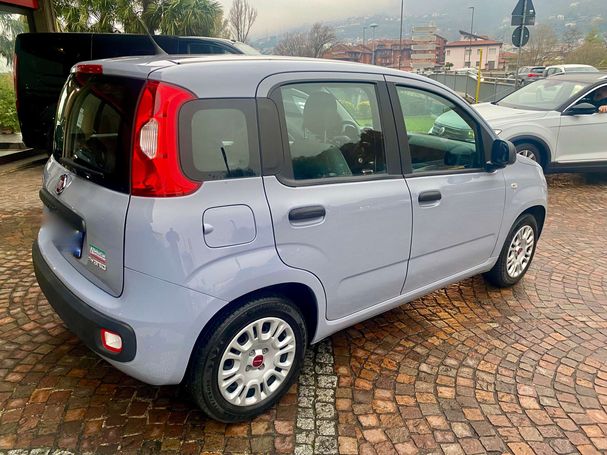 Fiat Panda 1.0 Hybrid City Life 51 kW image number 3