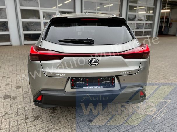 Lexus UX 250h 135 kW image number 9