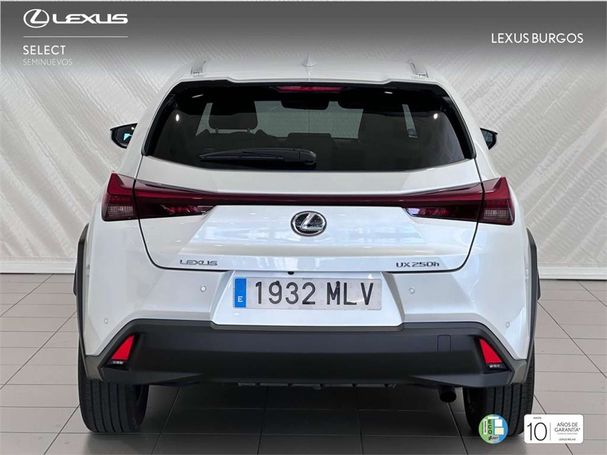 Lexus UX 135 kW image number 4