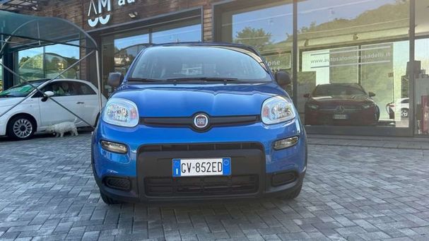 Fiat Panda 1.0 Hybrid 51 kW image number 3