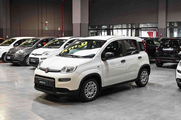 Fiat Panda 1.0 Hybrid 51 kW image number 1