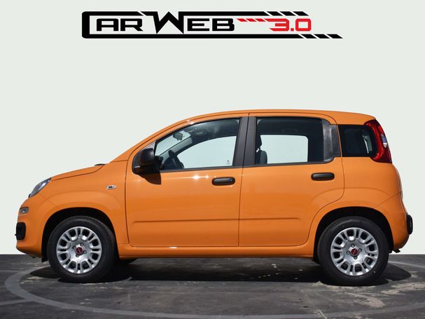 Fiat Panda 1.2 Easy 51 kW image number 8